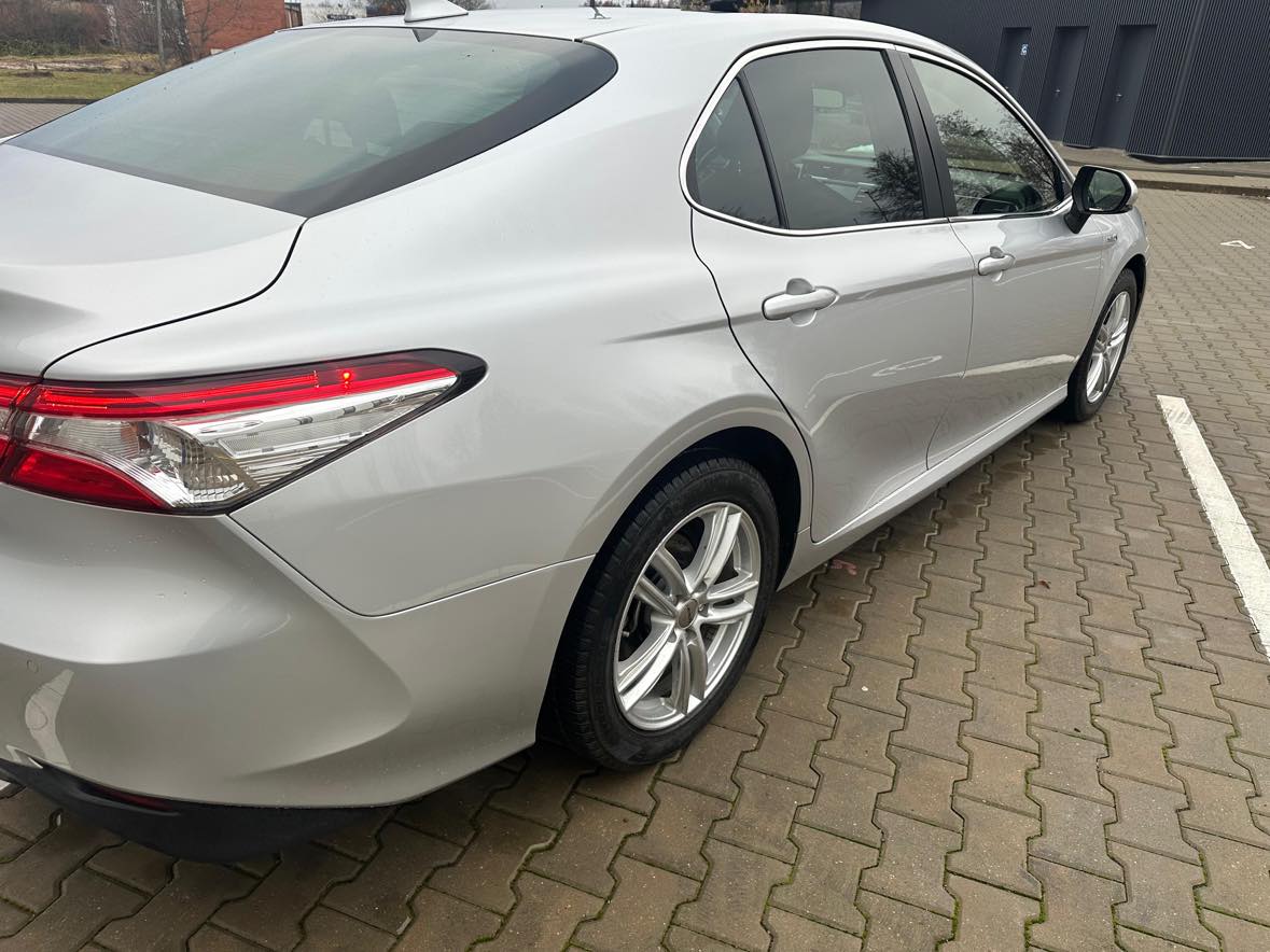 597441455_1437601875039890_6104804506657020019_n