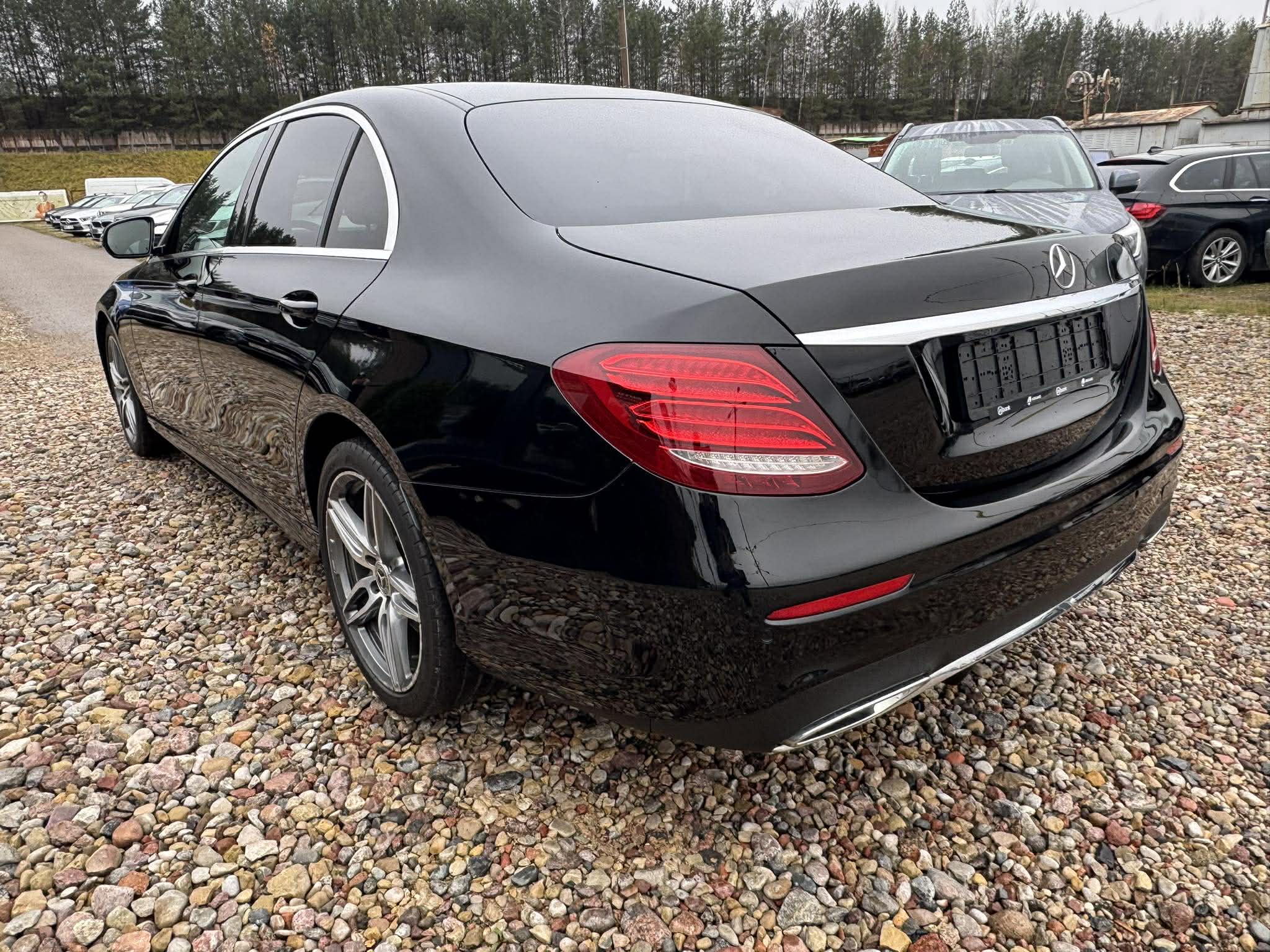 600184262_1442776634522414_757848532080629042_n